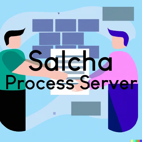 Salcha, Alaska Process Servers
