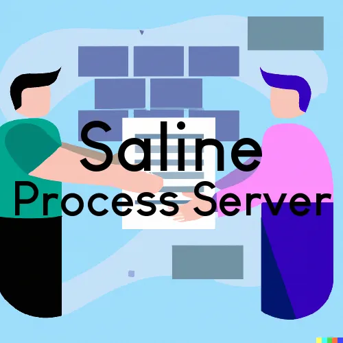 Saline, Michigan Process Servers