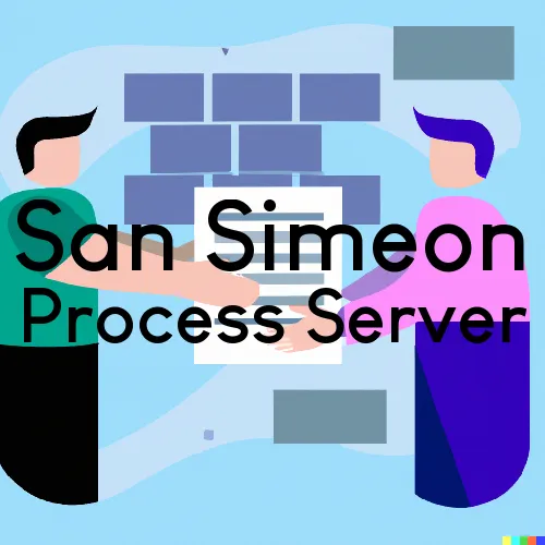 San Simeon, California Process Server, “Metro Process“ 