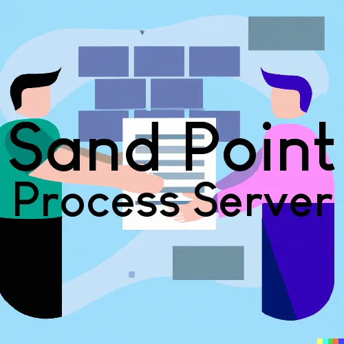 Sand Point, Alaska Process Servers and Field Agents