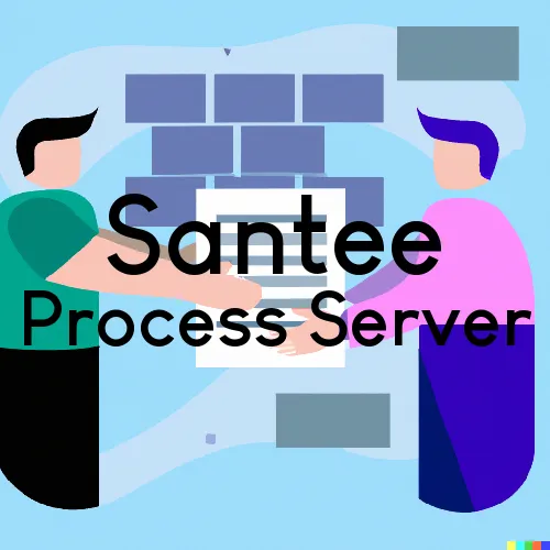Santee, California Court Couriers and Process Servers
