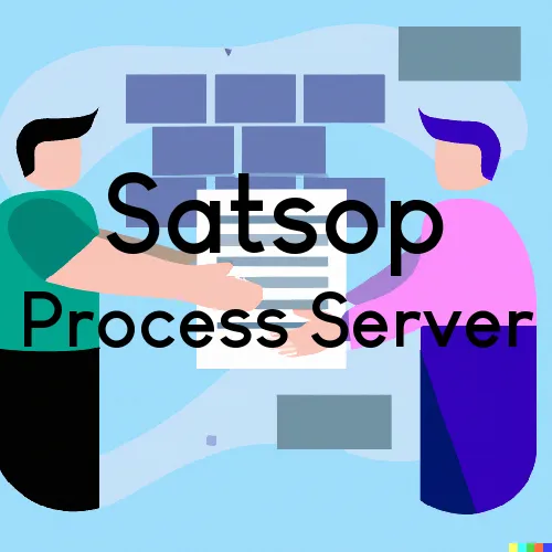 Satsop, WA Process Server, “Serving by Observing“ 