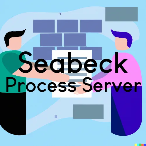 Seabeck, Washington Process Servers