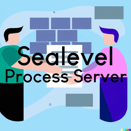 Sealevel, NC Process Servers in Zip Code 28581