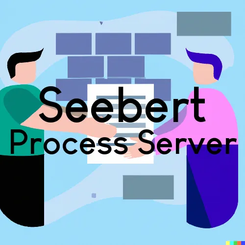 Seebert Process Server, “Serving by Observing“ 