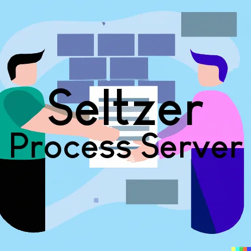 Seltzer, PA Process Servers and Courtesy Copy Messengers