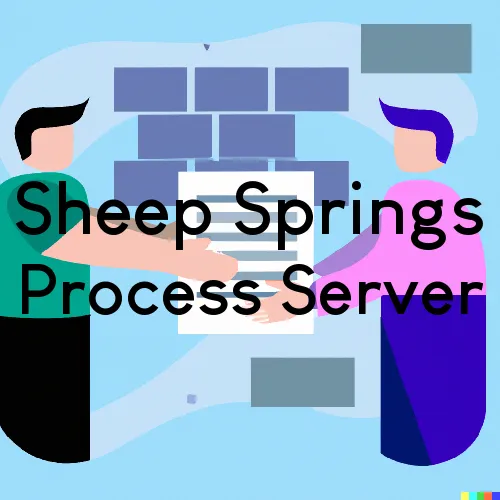 Sheep Springs, NM Process Server, “Highest Level Process Services“ 