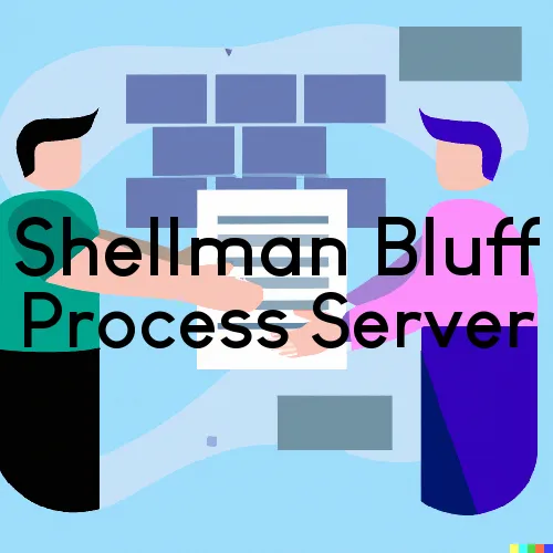 Shellman Bluff, GA Process Servers and Courtesy Copy Messengers