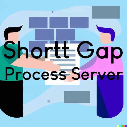 Shortt Gap Process Server, “Chase and Serve“ 