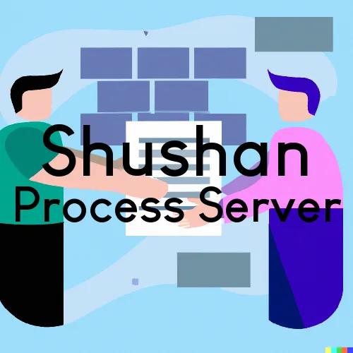 Shushan, NY Process Servers in Zip Code 12873
