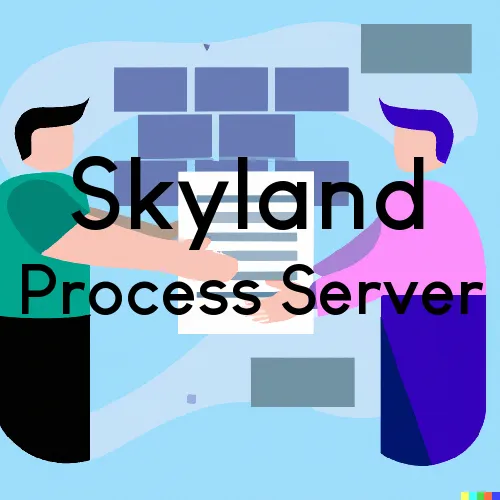 Process Servers in Zip Code 28776  