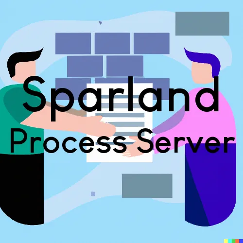 Sparland, IL Process Servers in Zip Code 61565
