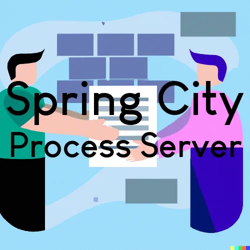 Spring City Process Server, “On time Process“ 