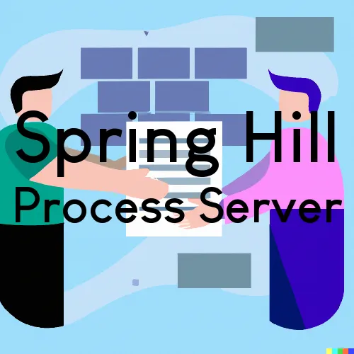 TN Process Servers in Spring Hill, Zip Code 37174