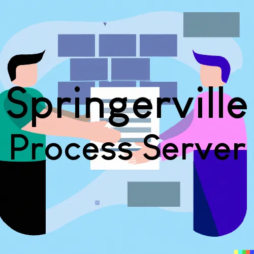 Springerville Process Server, “Chase and Serve“ 