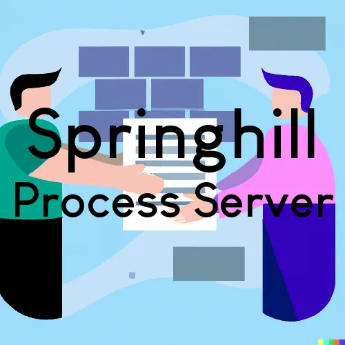 Springhill LA Court Document Runners and Process Servers