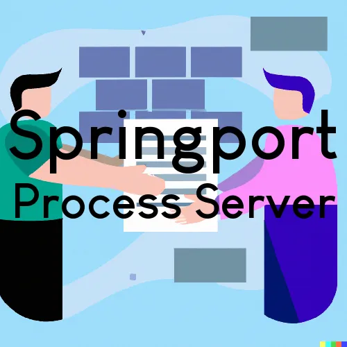 Process Servers in Springport, Michigan 
