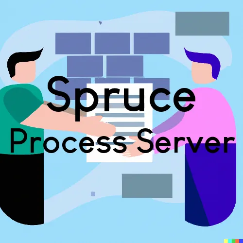 Spruce, Michigan Process Servers