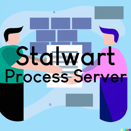 Michigan Process Servers in Zip Code 49736  