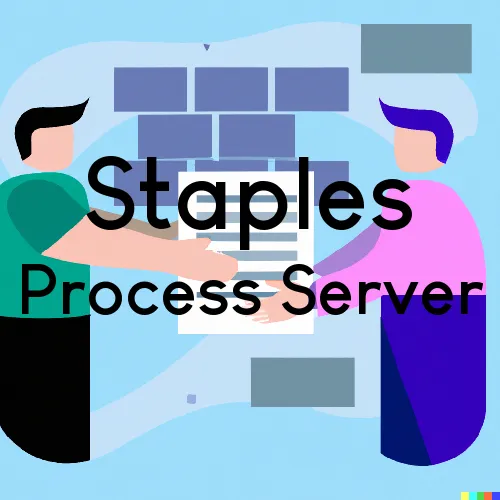 Staples, MN Process Servers in Zip Code 56479