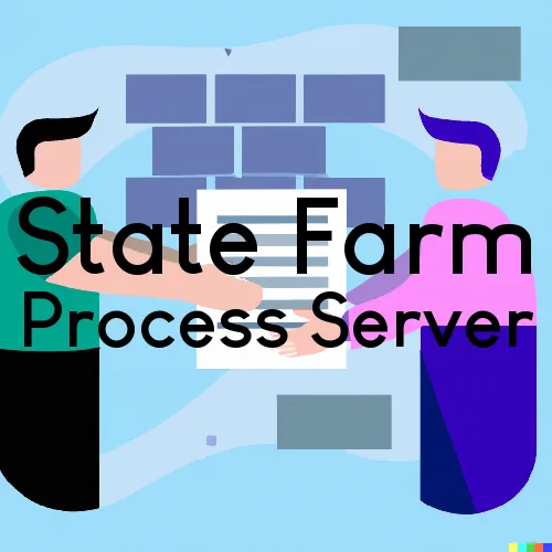 State Farm Process Server, “Legal Support Process Services“ 