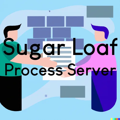 Sugar Loaf Process Server, “Rush and Run Process“ 