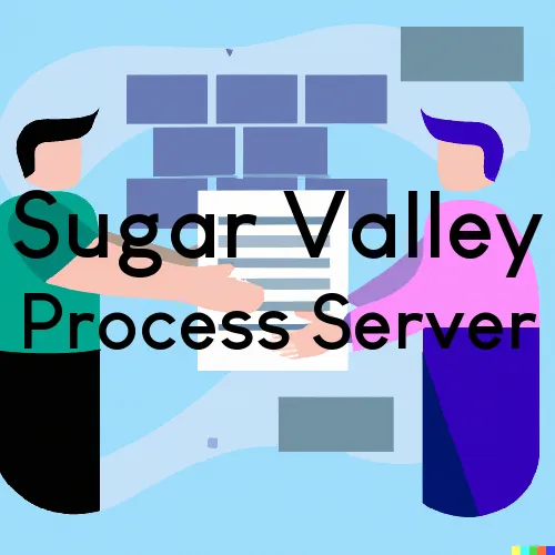 Sugar Valley, Georgia Process Servers