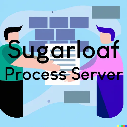 Process Servers in Sugarloaf, California