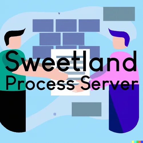 Sweetland, West Virginia Process Servers and Field Agents