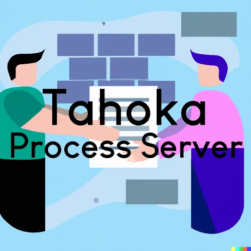 Tahoka, Texas Process Servers