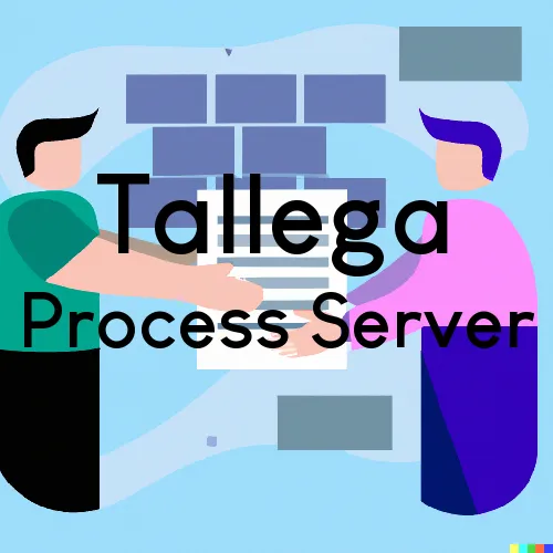 Tallega Process Server, “Chase and Serve“ 