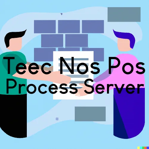 Teec Nos Pos, Arizona Process Servers and Field Agents