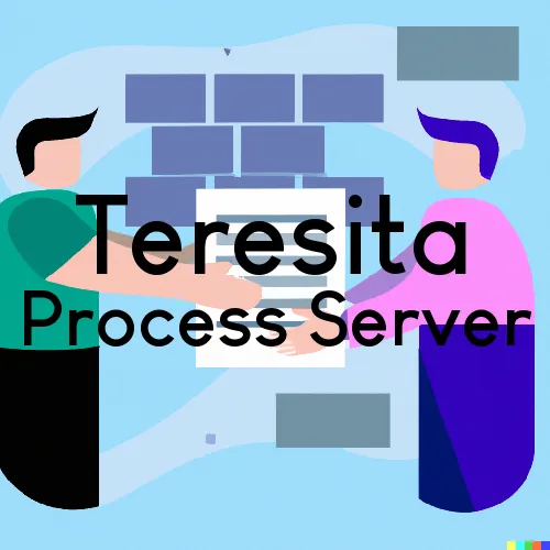 Teresita, MO Process Servers and Courtesy Copy Messengers