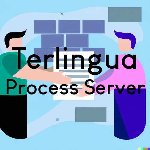 Terlingua, TX Process Server, “Gotcha Good“ 