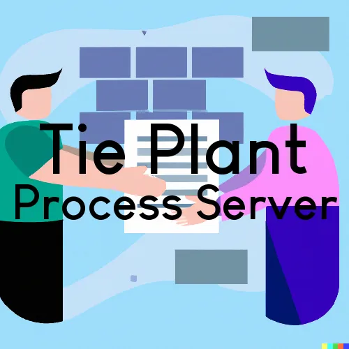 Tie Plant, MS Process Server, “Serving by Observing“ 