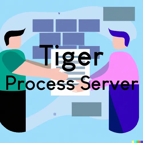 Tiger, Georgia Process Servers