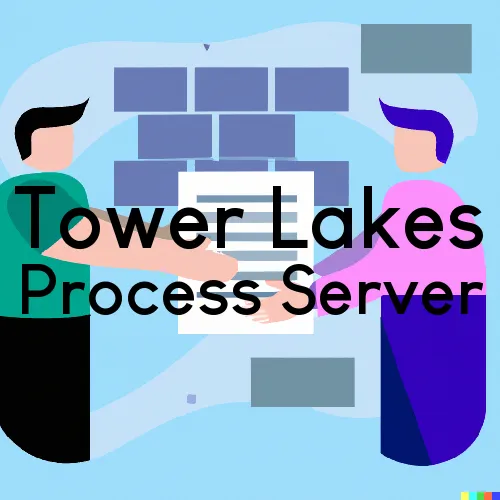 Tower Lakes, Illinois Process Servers
