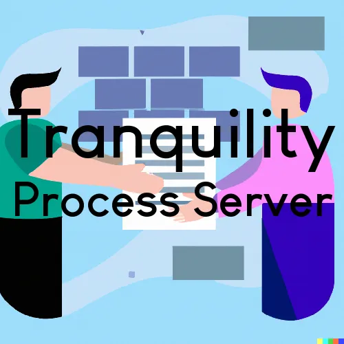 Tranquility, New Jersey Process Servers