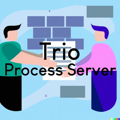 Trio, SC Process Servers in Zip Code 29590