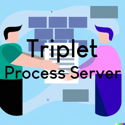 Triplet Process Server, “Chase and Serve“ 