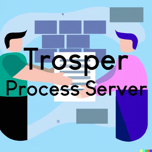 Trosper Process Server, “Serving by Observing“ 