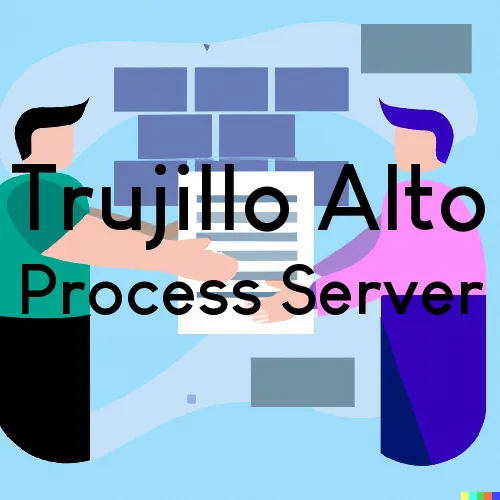 Trujillo Alto, PR Process Server, “Server One“ 
