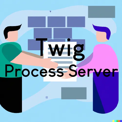 Twig, Minnesota Court Couriers and Process Servers
