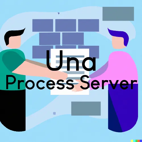 Una, SC Process Servers in Zip Code 29378