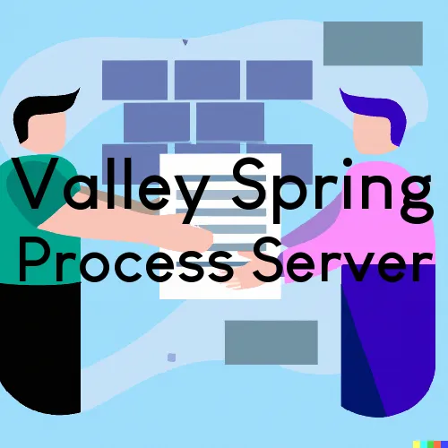 Valley Spring Process Server, “Guaranteed Process“ 