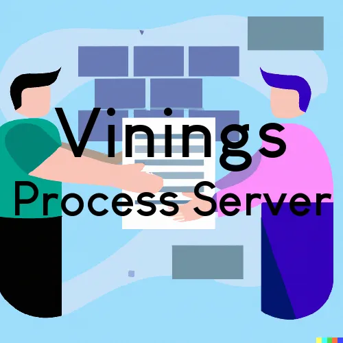 Vinings, Georgia Process Servers