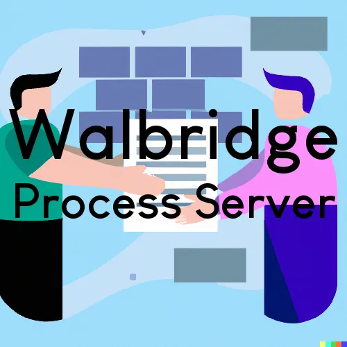 Walbridge, OH Process Servers in Zip Code 43465