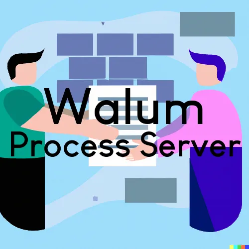 Walum, ND Process Servers and Courtesy Copy Messengers
