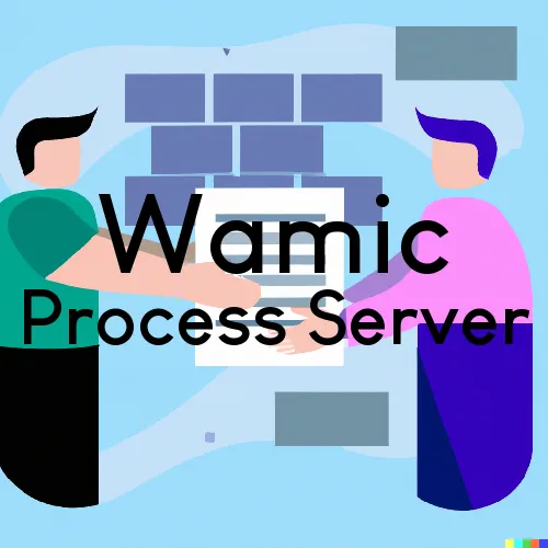 Wamic, Oregon Process Servers and Field Agents