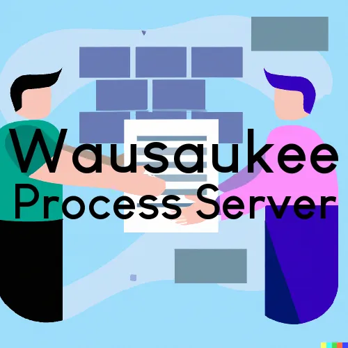 Wausaukee, WI Court Messengers and Process Servers